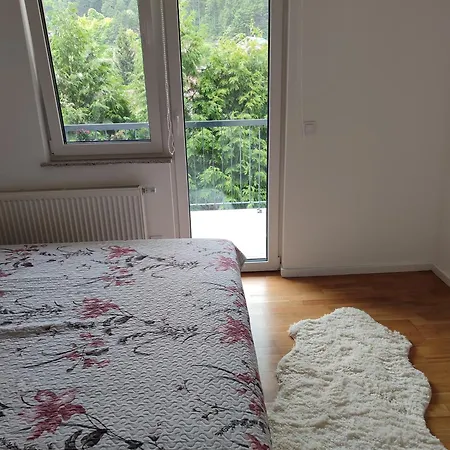 Kasic 2 公寓 科尼茨